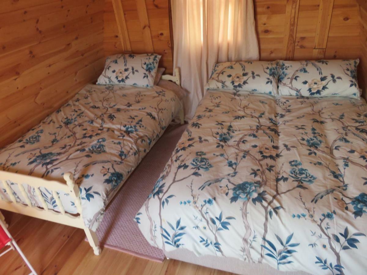 Shannon Estuary Glamping Effernan Экстерьер фото