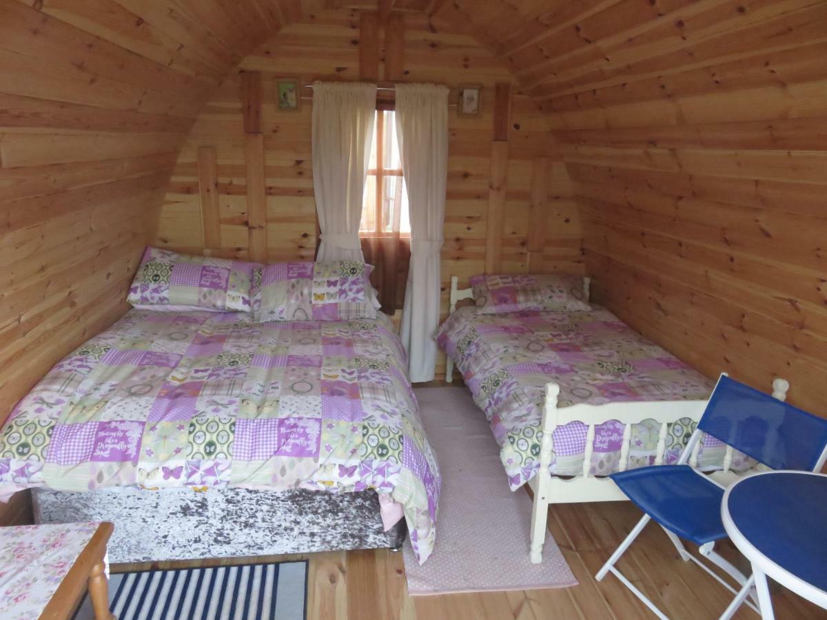 Shannon Estuary Glamping Effernan Экстерьер фото