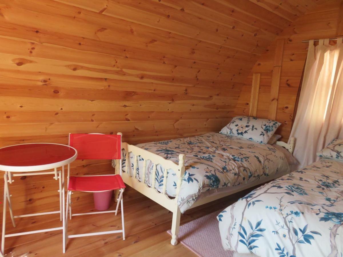 Shannon Estuary Glamping Effernan Экстерьер фото